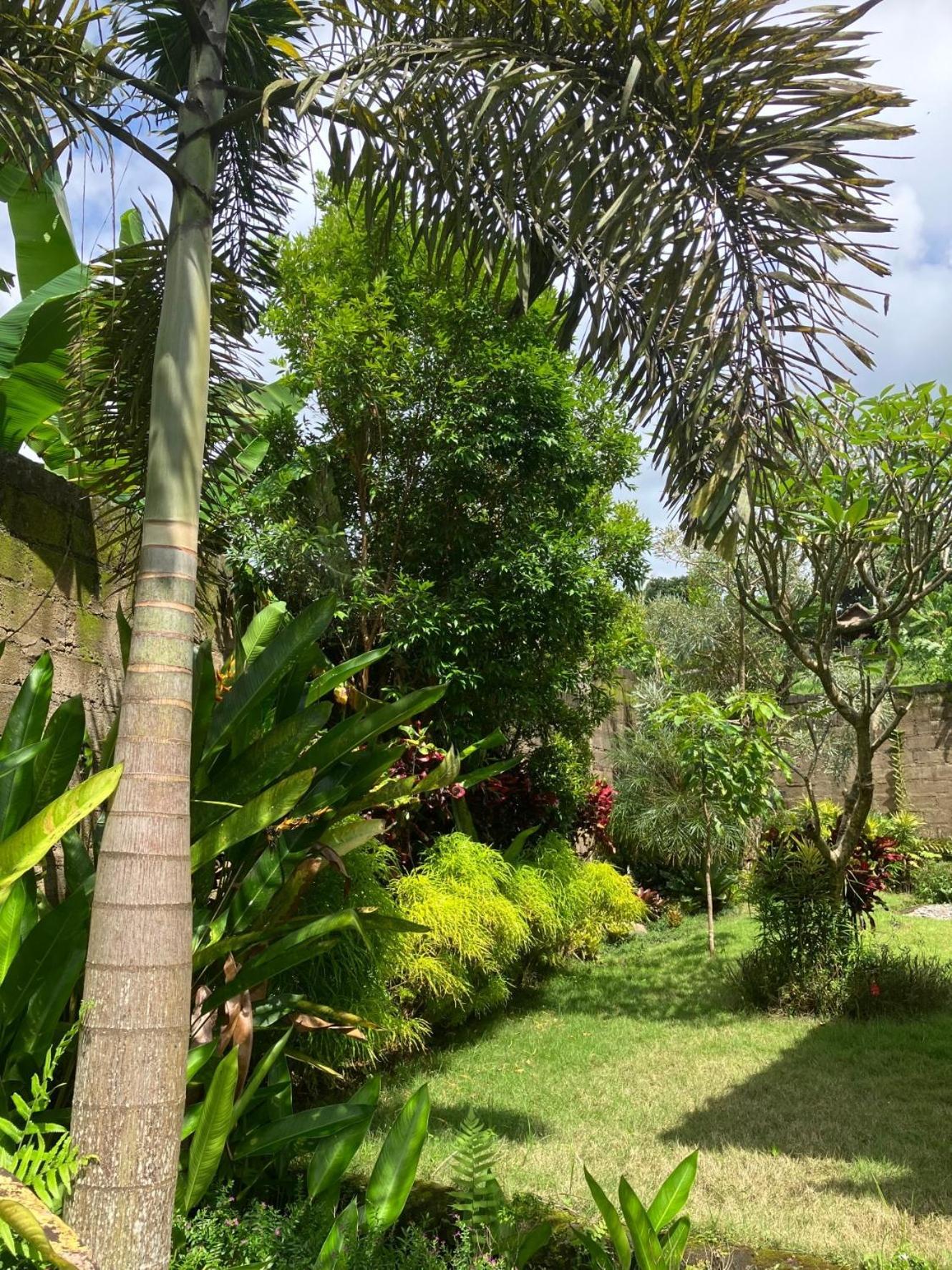 Villa Kelana Sidemen  Exteriér fotografie