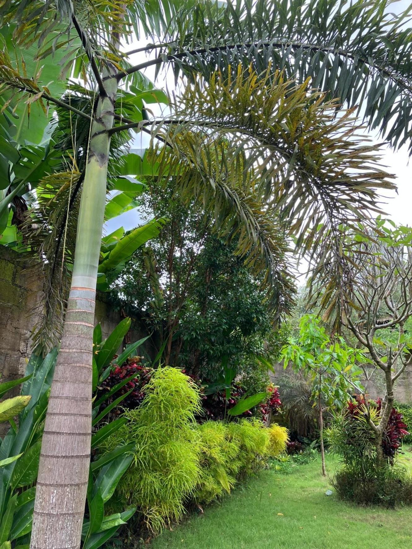 Villa Kelana Sidemen  Exteriér fotografie